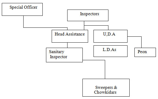 Structure of Market Department